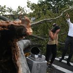 Mayor Bill de Blasio pointing at a fallen tree in Astoria, Queens